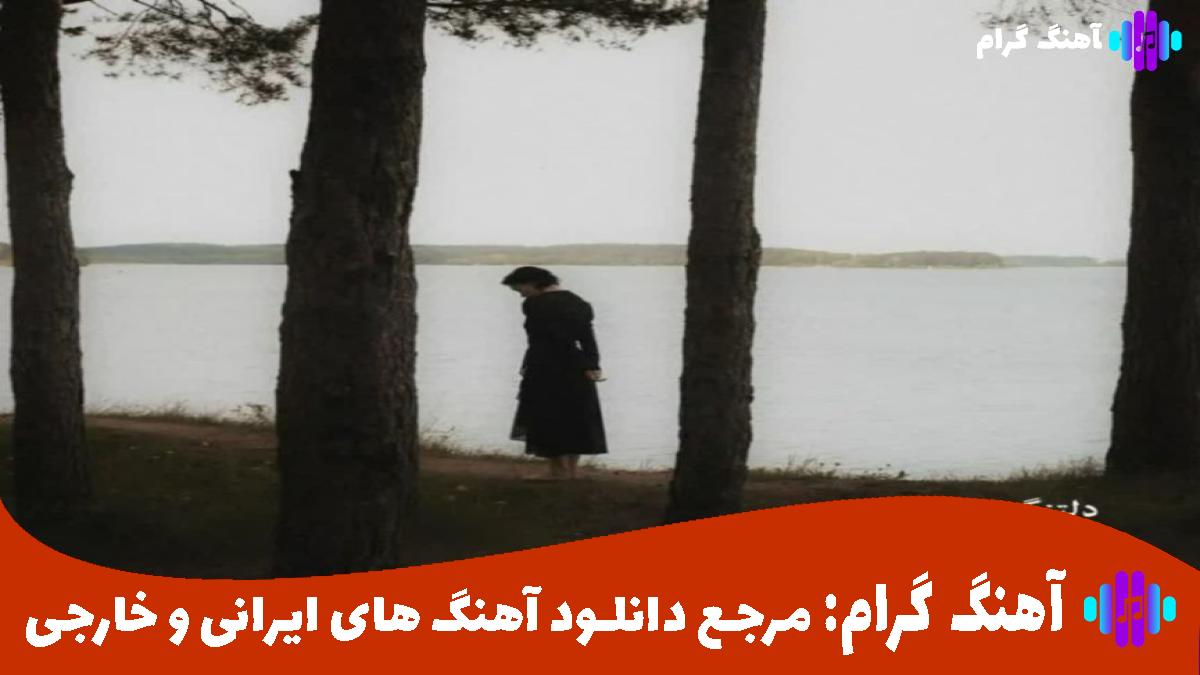 کاور آهنگ من دلم تنگه برات هر جا رفتم نپرید از سرم هوات از هایده و تتلو و ناجی